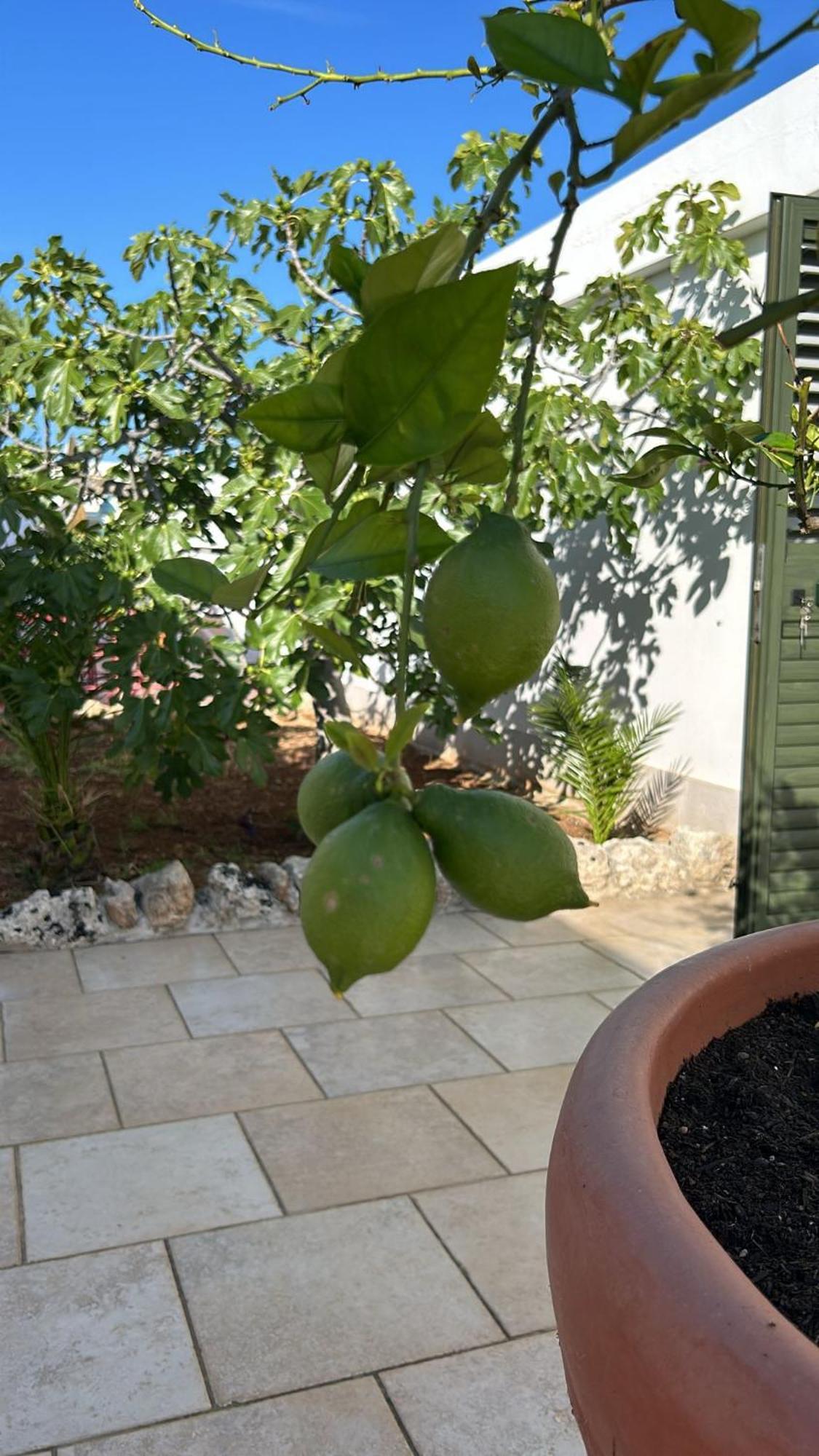 Villa Lamandia Monopoli Exterior foto
